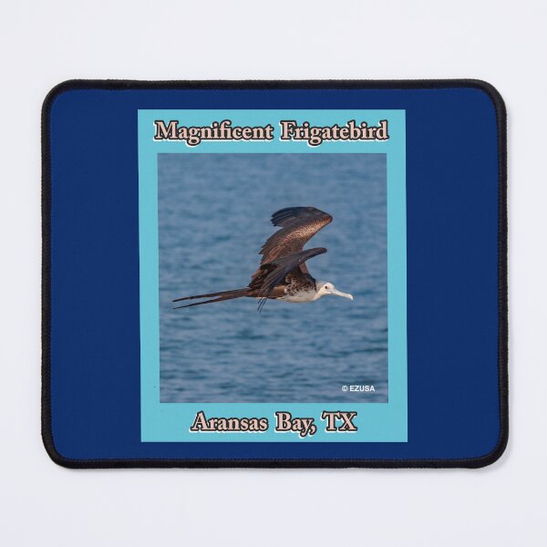 Item preview, Give The Bird To Your Lover: Magnificent Frigatebird ~ Aransas Bay, Texas designed and sold by MoreEZUSA-Here.