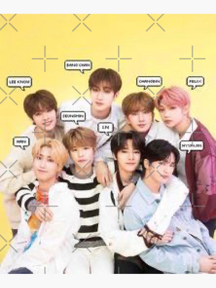 Stray Kids ⑰ flat,750x,075,f-pad,750x1000,