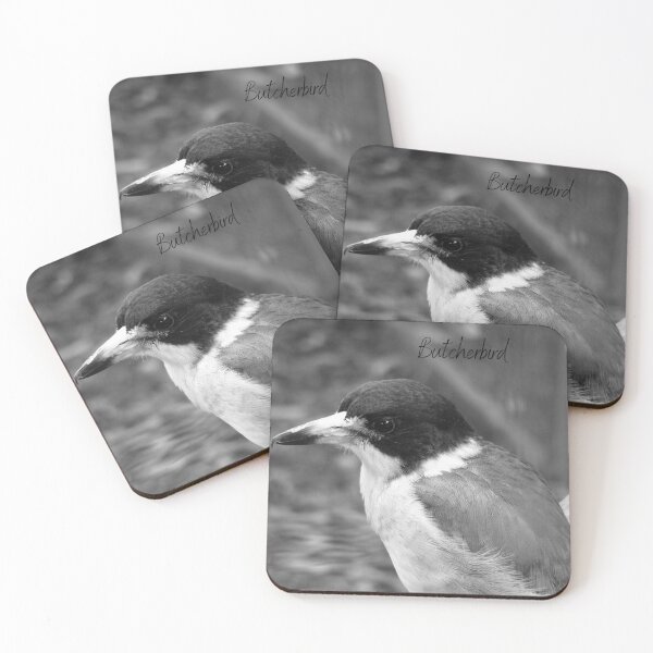 Aperçu de l'œuvre Photographie noir et blanc de l'oiseau boucher créée et vendue par Reda Ls ⭐️⭐️⭐️⭐️⭐️.