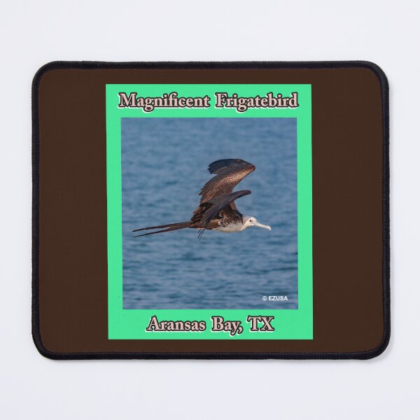 Item preview, Give Someone You Love The Bird: Magnificent Frigatebird, Aransas Bay, Texas designed and sold by MoreEZUSA-Here.