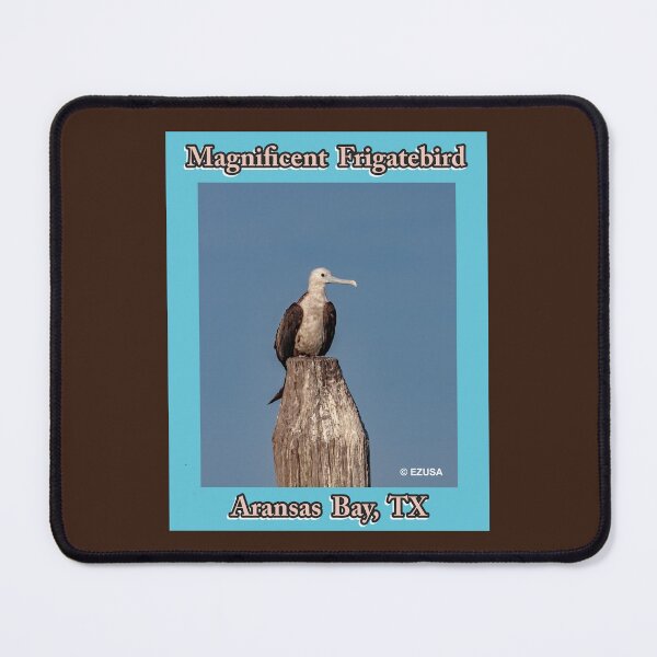 Item preview, For The Bird Lover In You: Magnificent Frigatebird, Aransas Bay, Texas designed and sold by MoreEZUSA-Here.