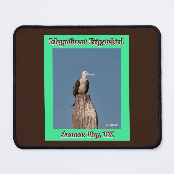 Item preview, Give The Bird To Your Lover: Magnificent Frigatebird, Aransas Bay, Texas designed and sold by MoreEZUSA-Here.