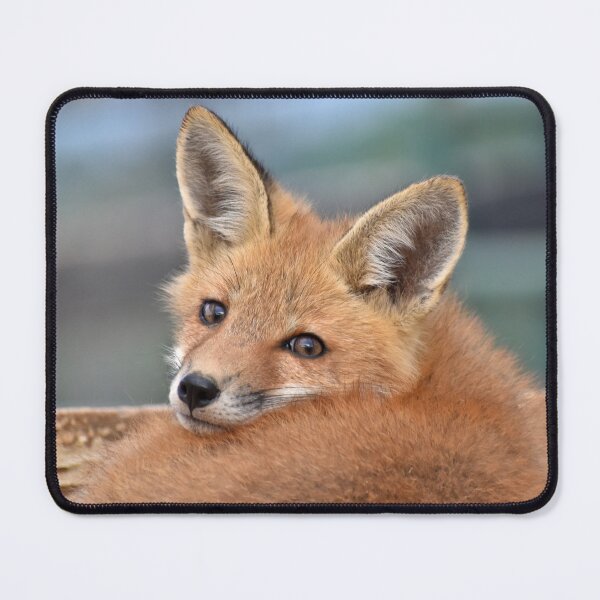 Item preview, Red Fox Kit designed and sold by athousandwordss.