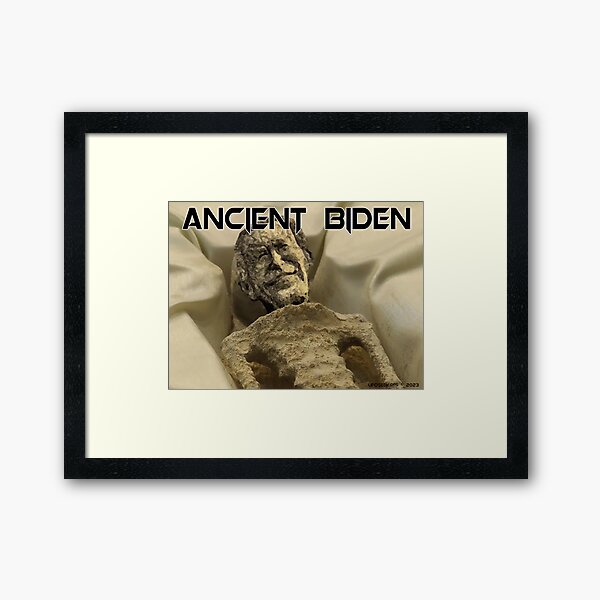 Ancient Biden Framed Art Print