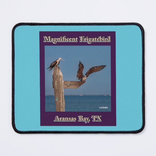 Item preview, The Perfect Gift For A Bird Lover: Magnificent Frigatebird, Aransas Bay, Texas designed and sold by MoreEZUSA-Here.