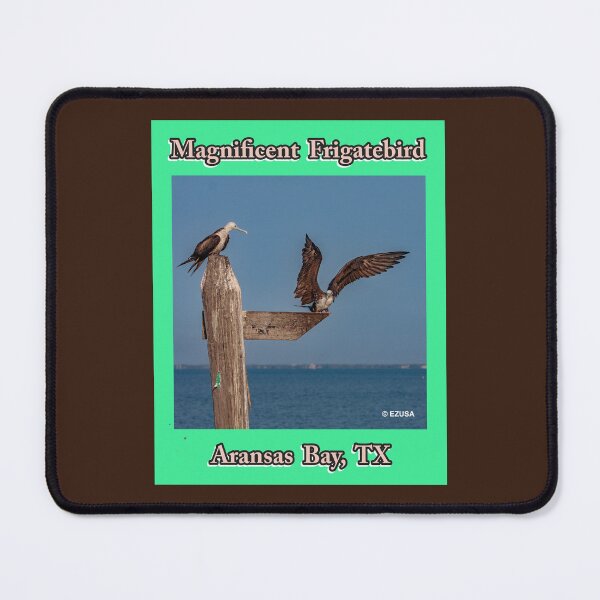 Item preview, For The Bird Lover In You: Magnificent Frigatebird, Aransas Bay, Texas designed and sold by MoreEZUSA-Here.