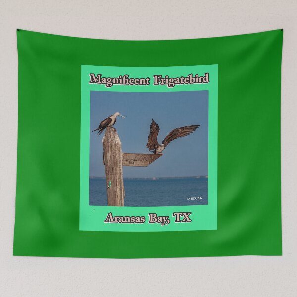 Item preview, For The Bird Lover In You: Magnificent Frigatebird, Aransas Bay, Texas designed and sold by MoreEZUSA-Here.