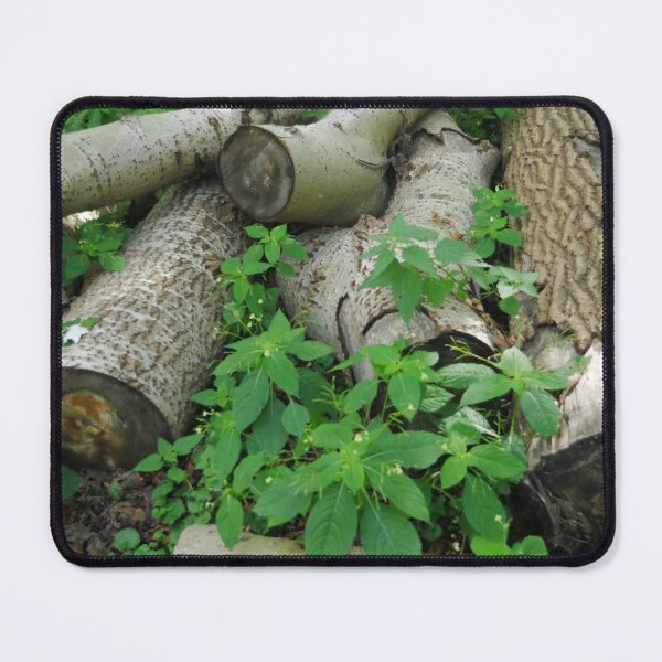 Item preview, Fire wood designed and sold by LnatureGreen.