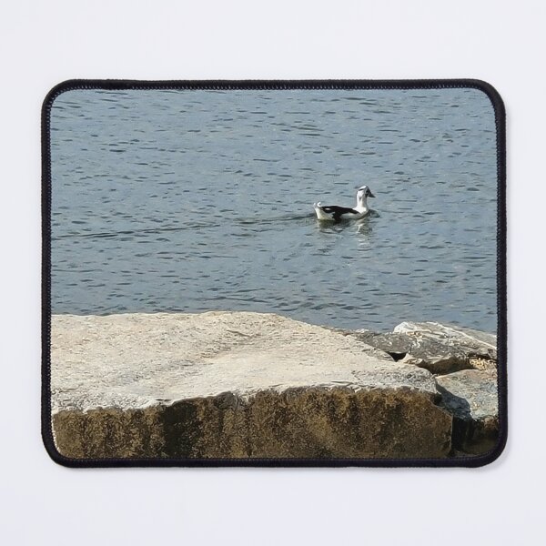 Item preview, Duck on the Water designed and sold by DeanieTees.