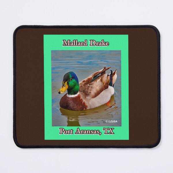 Item preview, The Perfect Gift For A Bird Lover: Mallard Drake, Port Aransas, Texas designed and sold by MoreEZUSA-Here.