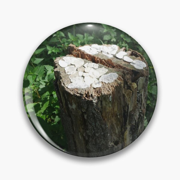 Item preview, Tree fungus designed and sold by LnatureGreen.