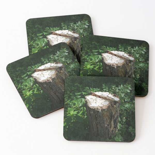 Item preview, Tree fungus designed and sold by LnatureGreen.