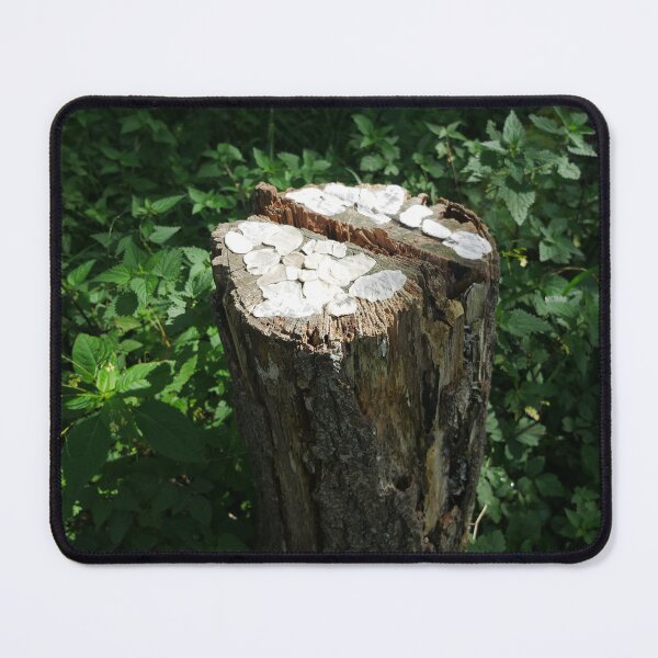 Item preview, Tree fungus designed and sold by LnatureGreen.
