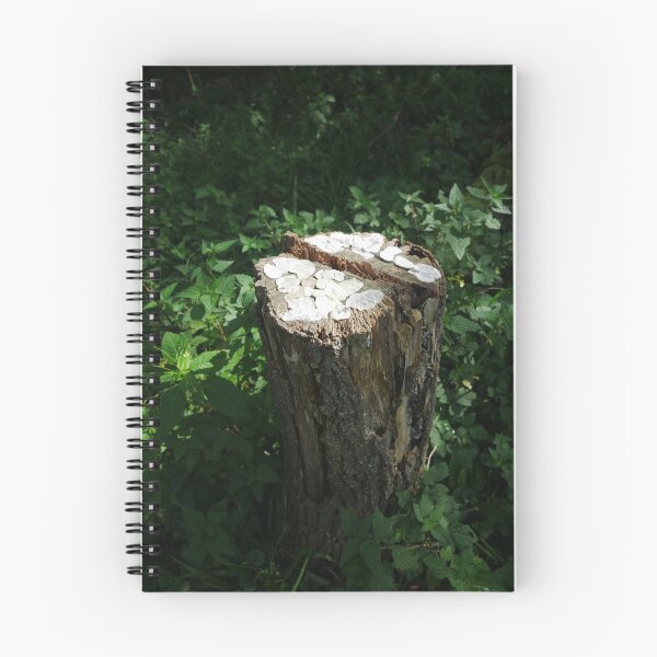 Item preview, Tree fungus designed and sold by LnatureGreen.