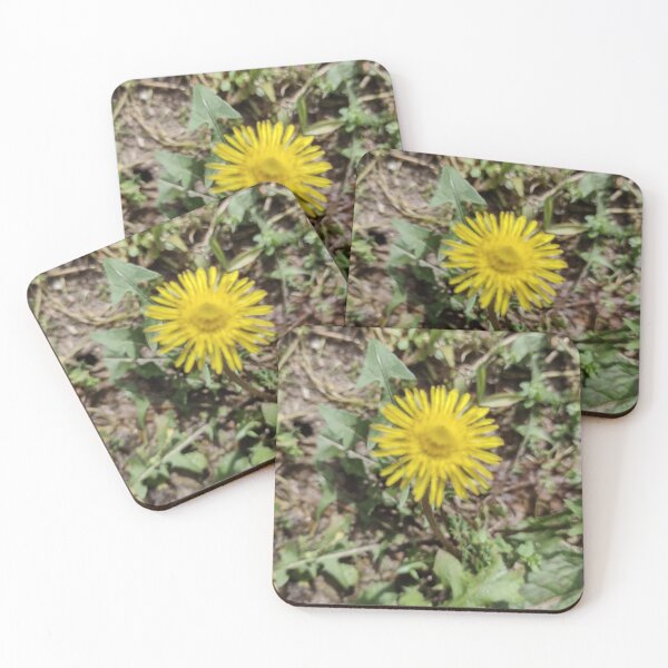 Item preview, Flor do campo  designed and sold by Marcelodesenho.