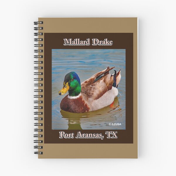 Item preview, For The Bird Lover In You: Mallard Drake, Port Aransas, Texas designed and sold by MoreEZUSA-Here.