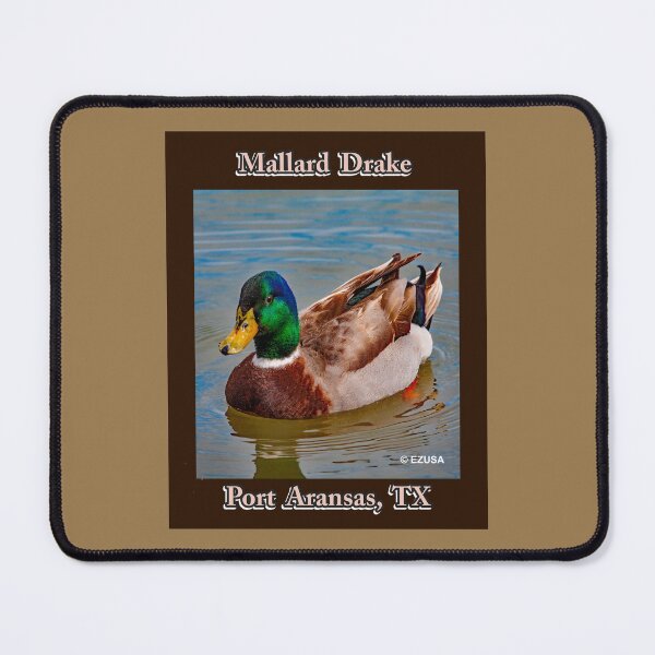 Item preview, For The Bird Lover In You: Mallard Drake, Port Aransas, Texas designed and sold by MoreEZUSA-Here.
