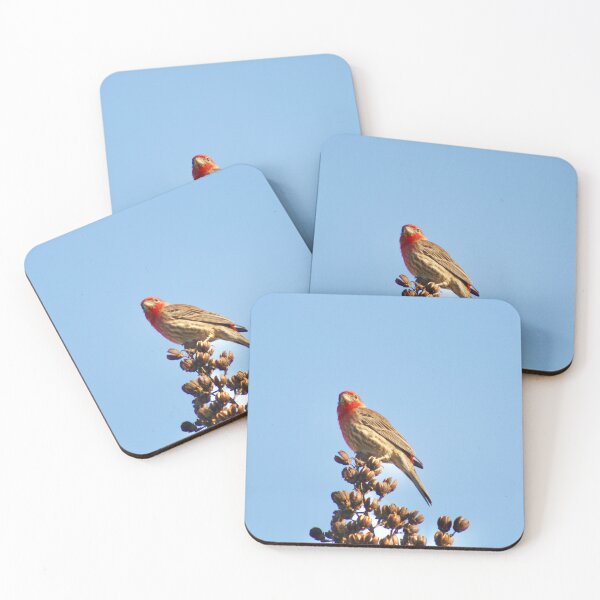 Item preview, House Finch designed and sold by Carter Photography.