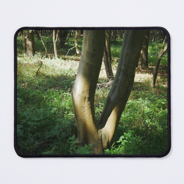 Item preview, Green tree trunk designed and sold by LnatureGreen.