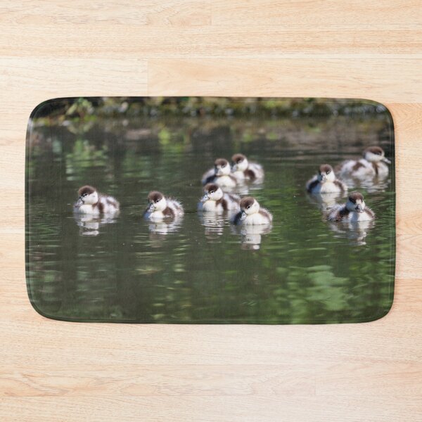 Item preview, Shelduck ducklings designed and sold by GreyFeatherPhot.