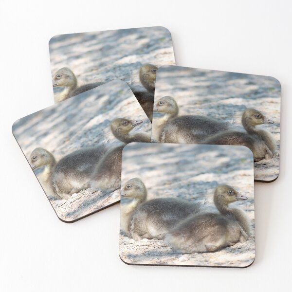 Item preview, Goslings designed and sold by GreyFeatherPhot.