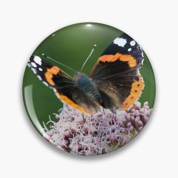 Item preview, Red Admiral Butterfly designed and sold by jimmyboysnapz.