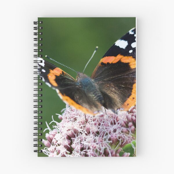 Item preview, Red Admiral Butterfly designed and sold by jimmyboysnapz.