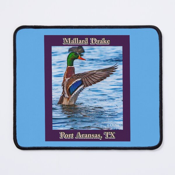 Item preview, The Perfect Gift For A Bird Lover: Mallard Drake, Port Aransas, Texas designed and sold by MoreEZUSA-Here.