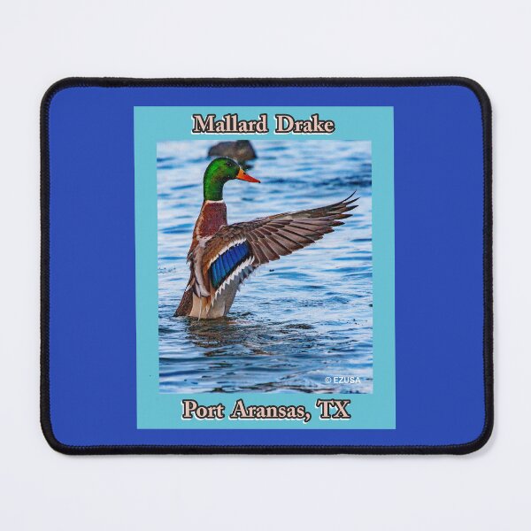 Item preview, For The Bird Lover In You: Mallard Drake, Port Aransas, Texas designed and sold by MoreEZUSA-Here.