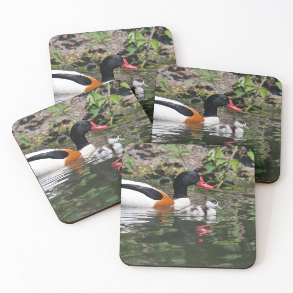 Item preview, Shelduck with young designed and sold by GreyFeatherPhot.
