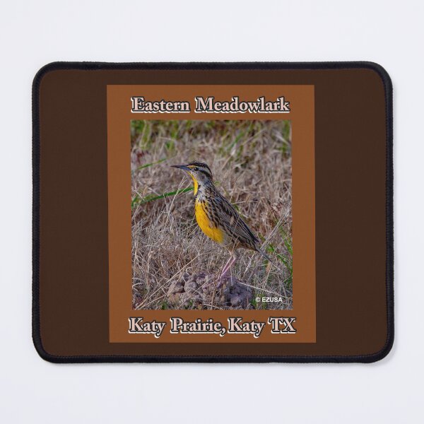 Item preview, Give The Bird To Your Lover: Eastern Meadowlark, Katy Prairie, Katy, Texas designed and sold by MoreEZUSA-Here.