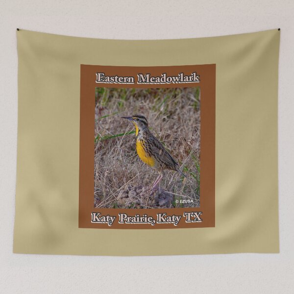 Item preview, Give The Bird To Your Lover: Eastern Meadowlark, Katy Prairie, Katy, Texas designed and sold by MoreEZUSA-Here.
