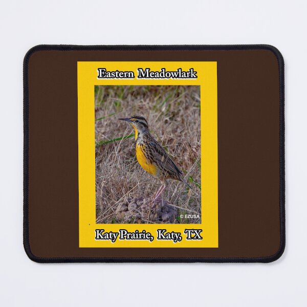 Item preview, Give Someone You Love The Bird: Eastern Meadowlark, Katy Prairie, Katy, Texas designed and sold by MoreEZUSA-Here.