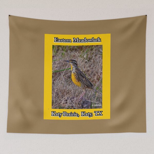 Item preview, Give Someone You Love The Bird: Eastern Meadowlark, Katy Prairie, Katy, Texas designed and sold by MoreEZUSA-Here.
