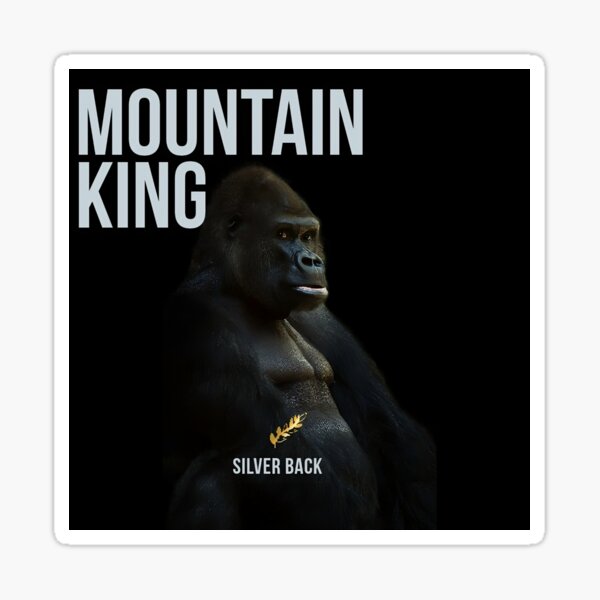 Gorilla t shirt Pegatina