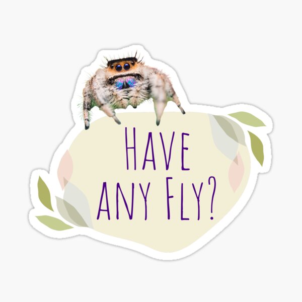 Jumping spider Sticker