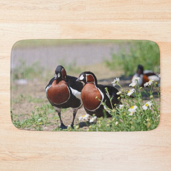Item preview, Red Breasted geese at WWT Llanelli designed and sold by GreyFeatherPhot.