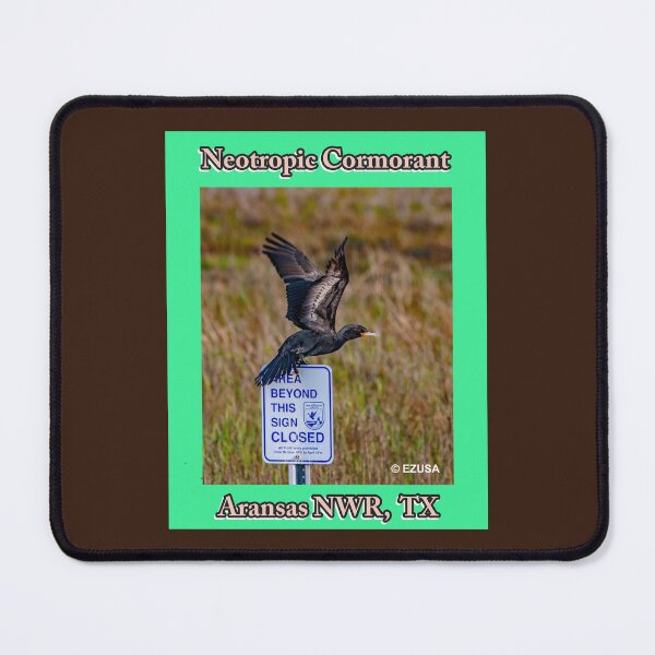 Item preview, Give Someone You Love The Bird: Neotropic Cormorant, Aransas NWR, Texas designed and sold by MoreEZUSA-Here.