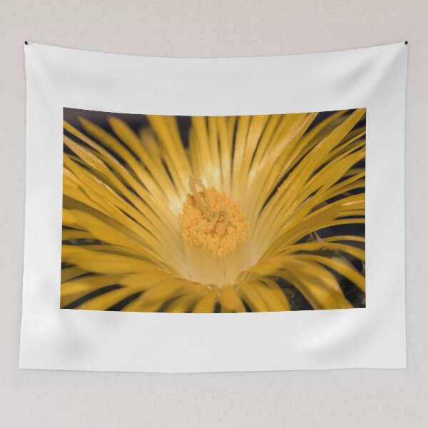 Item preview, Feline Faucara designed and sold by Antonio Pizarro Mendez.