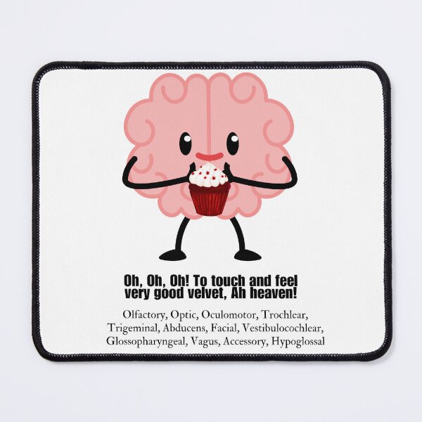 Item preview, Cranial Nerves Mnemonic designed and sold by MeMeantTo.