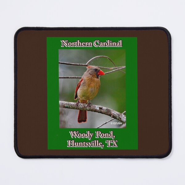 Item preview, The Perfect Gift For A Bird Lover: Northern Cardinal, Woody Pond, Huntsville, Texas designed and sold by MoreEZUSA-Here.
