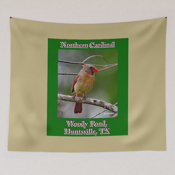 Item preview, The Perfect Gift For A Bird Lover: Northern Cardinal, Woody Pond, Huntsville, Texas designed and sold by MoreEZUSA-Here.