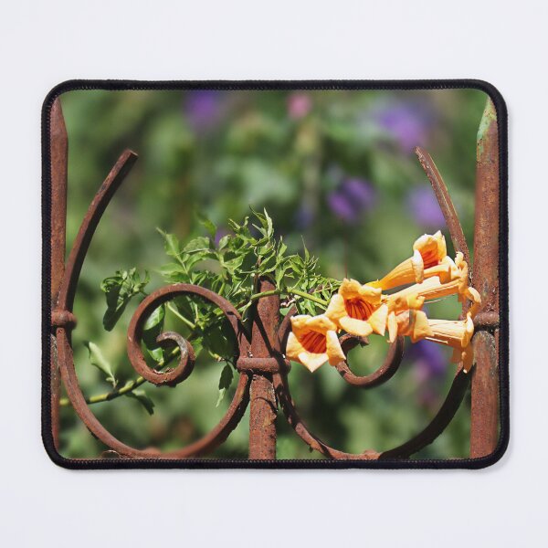 Item preview, Old and new. designed and sold by Paul Pasco.