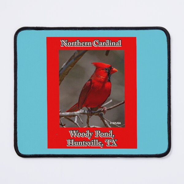 Item preview, Give The Bird To Your Lover: Northern Cardinal, Woody Pond, Huntsville, Texas designed and sold by MoreEZUSA-Here.