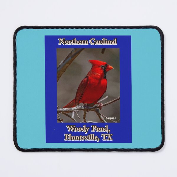 Item preview, Give Someone You Love The Bird: Northern Cardinal, Woody Pond, Huntsville, Texas designed and sold by MoreEZUSA-Here.