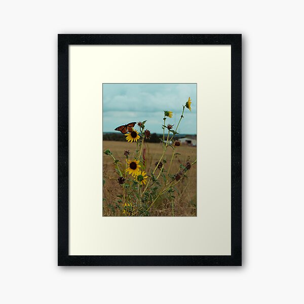 Item preview, Tournesol monarque designed and sold by okieshotsprints.