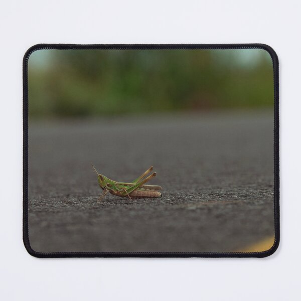 Item preview, Grasshopper Green designed and sold by okieshotsprints.