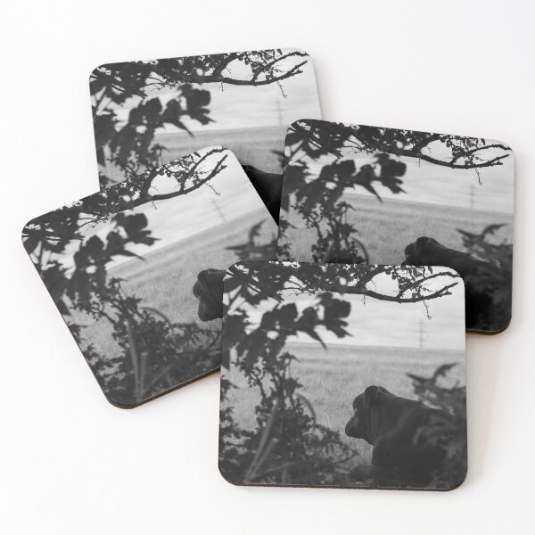 Item preview, Charlene the Cow B&W designed and sold by okieshotsprints.