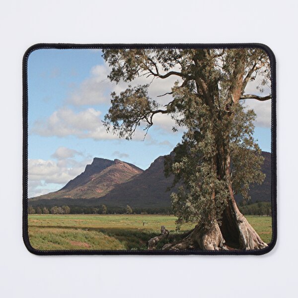 Item preview, Gumtree & Wilpena Pound, Flinders Ranges, Australia designed and sold by FranWest.