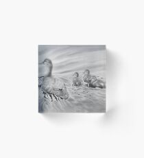 Duck family Acrylic Block